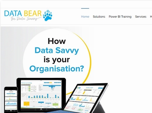 https://databear.com/ website