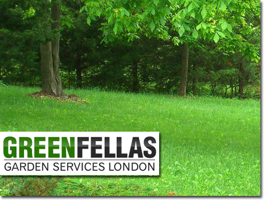 http://www.fenceinstallersnorthlondon.co.uk/landscape-gardening-london/gardenfencingnorthlondon website